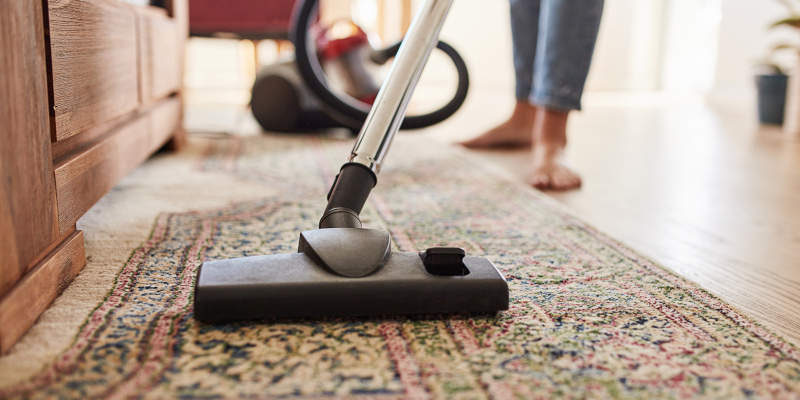 3 Reasons Why Carpet Cleaning Is Important